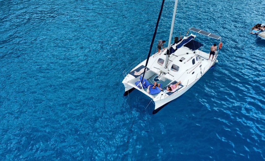 Petrachi 32 Maui